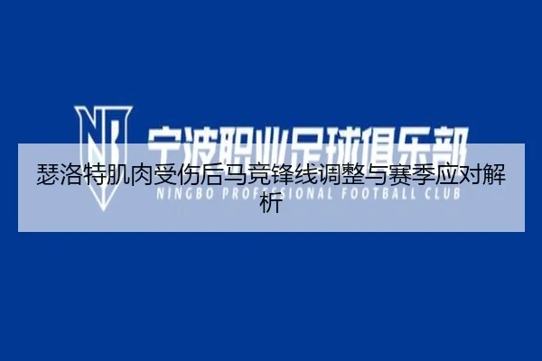 瑟洛特肌肉受伤后马竞锋线调整与赛季应对解析 | JINXISPORTS